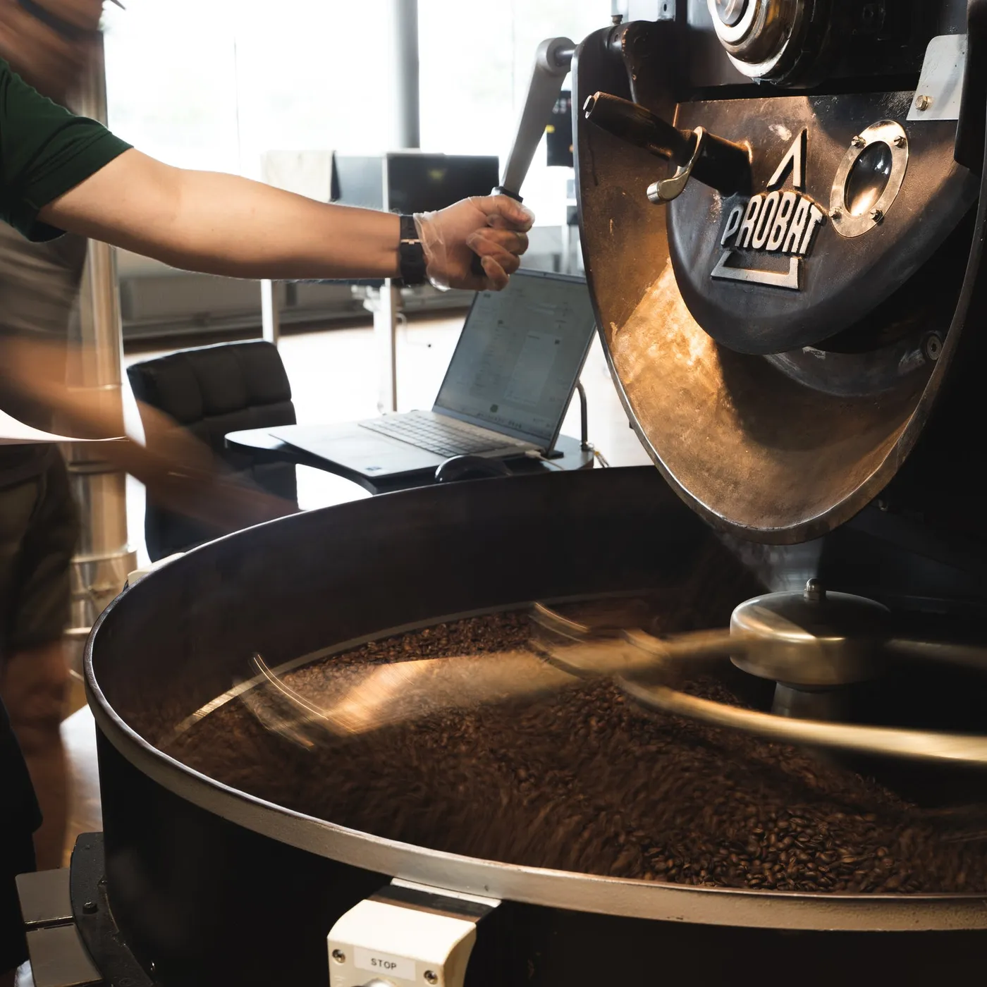 Freshly roasted beans in the Tewoo drum